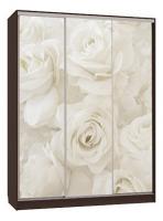 Бассо 7-600 розы (полки слева) венге