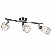 Спот Lussole Nelson GRLSP-0100. Фото №1