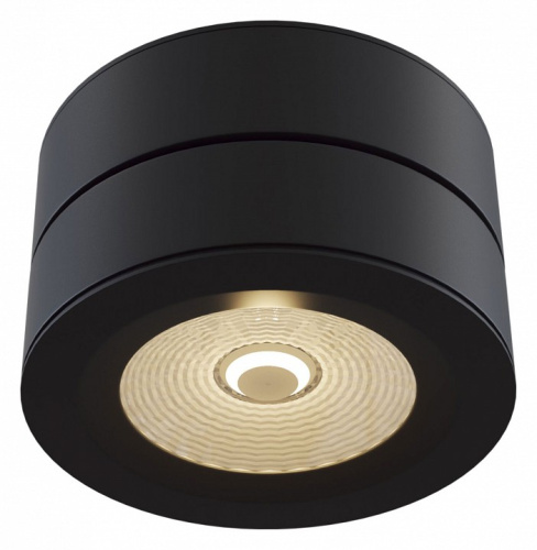 Накладной светильник Maytoni Treviso C023CL-L20B. Фото №1