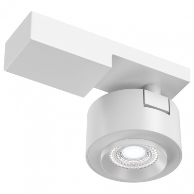 Светильник на штанге Maytoni Treo C062CL-L12W4K. Фото