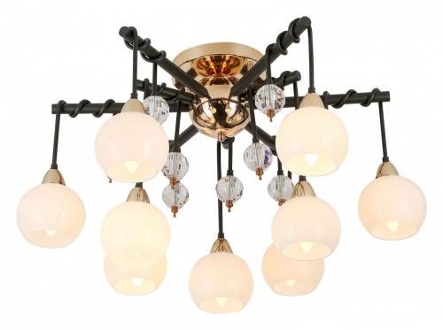 Потолочная люстра Lussole Astoria LSP-8308. Фото №1