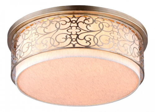 Накладной светильник Maytoni Venera H260-05-N. Фото №1