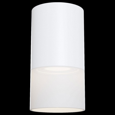 Накладной светильник Maytoni Pauline C007CW-01W. Фото