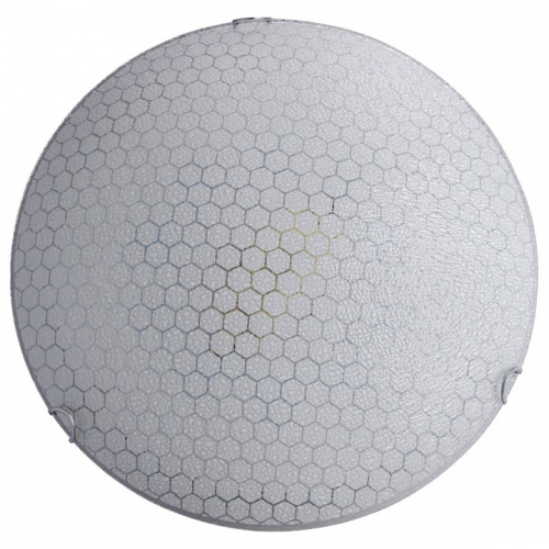 Накладной светильник MW-Light Премьера 16 374016001. Фото №1