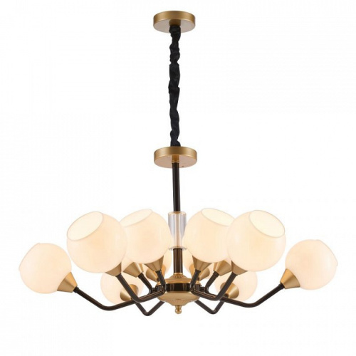 Подвесная люстра Favourite Germen 2550-12P. Фото №2