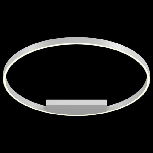 Накладной светильник Maytoni Rim MOD058CL-L50W4K. Фото №2