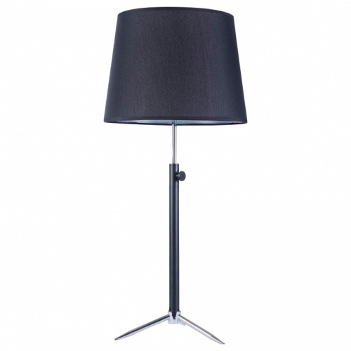 Настольная лампа декоративная Maytoni Monic MOD323-TL-01-B. Фото №1