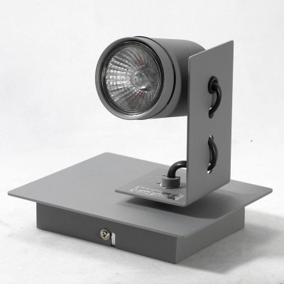 Спот Lussole Dillingham LSP-8022. Фото