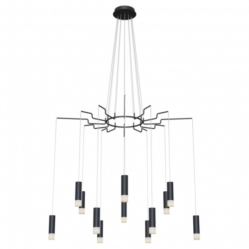 Подвесная люстра Maytoni Davida MOD035PL-12B. Фото №2